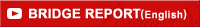 BRIDGE REPORT��English��