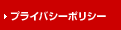 �ץ饤�Х����ݥꥷ��