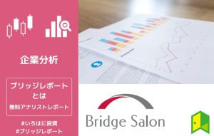 ブリッジレポートとは