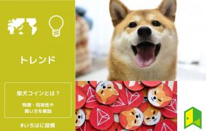 柴犬コインとは？