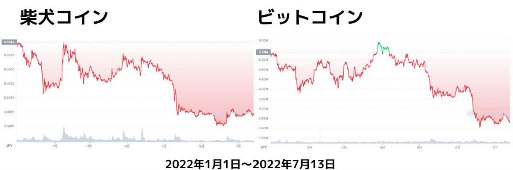 柴犬コインチャート2022