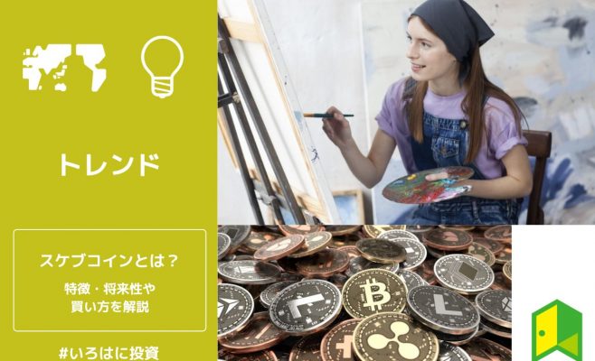 スケブコインとは