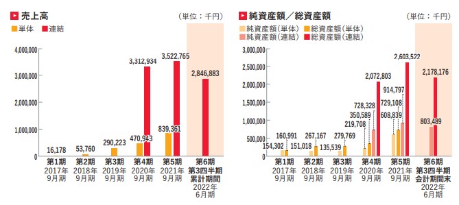 FCE Holdingsの売上推移と総資産推移