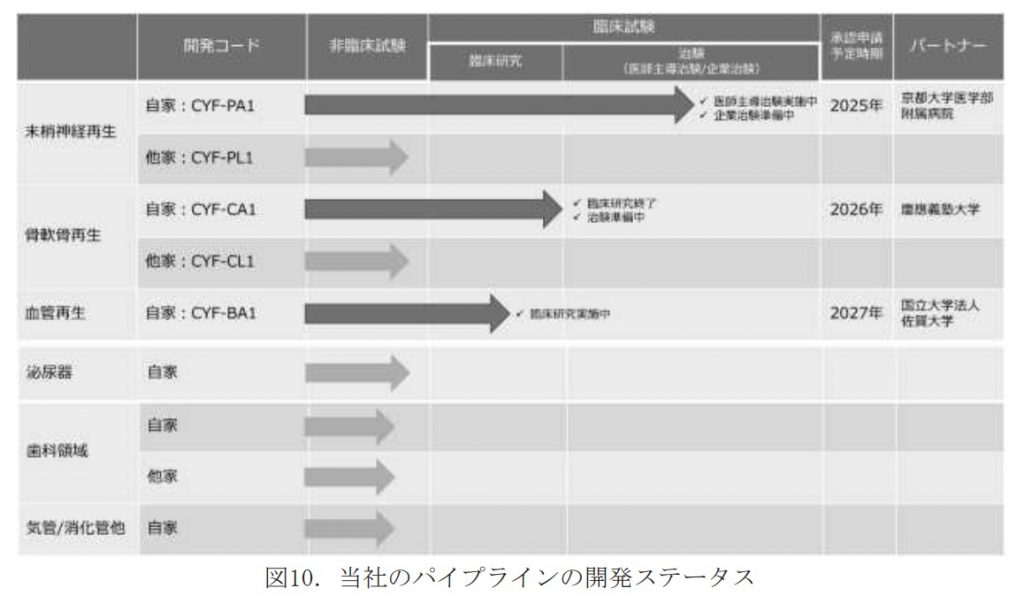 サイフューズ パイプライン