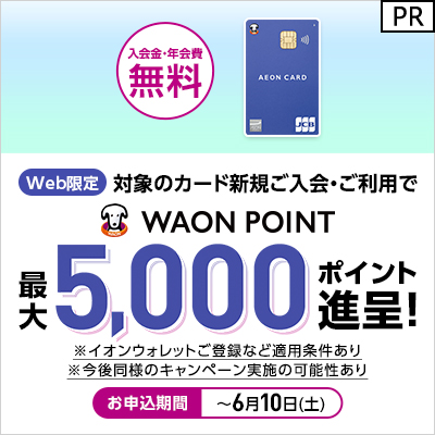 クレジットでもWAONでも、お支払いはこれ1枚で【イオンカード】