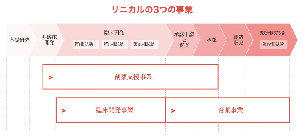 リニカル　事業領域