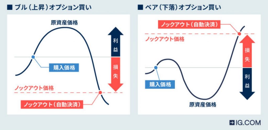 ブル・ベア解説