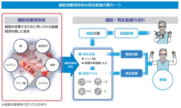 コージンバイオ細胞培養事業