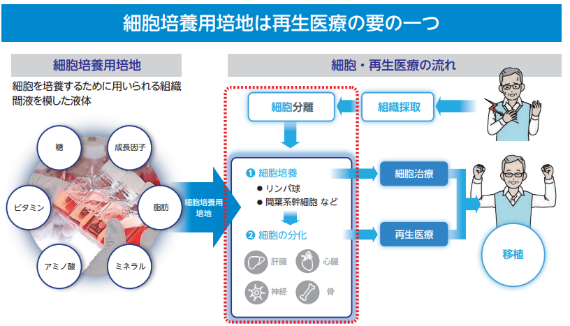 コージンバイオ細胞加工事業