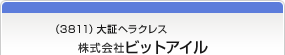 （3811）大証ヘラクレス　株式会社ビットアイル